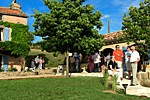 Click to see larger version
