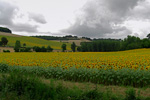 Click to see larger version