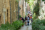 Click to see larger version