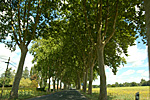 Click to see larger version